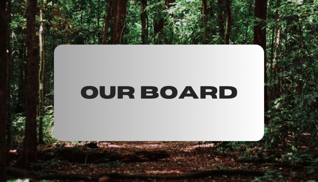 Our Board